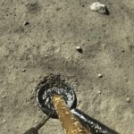 Chang'e 5 landed / CNSA